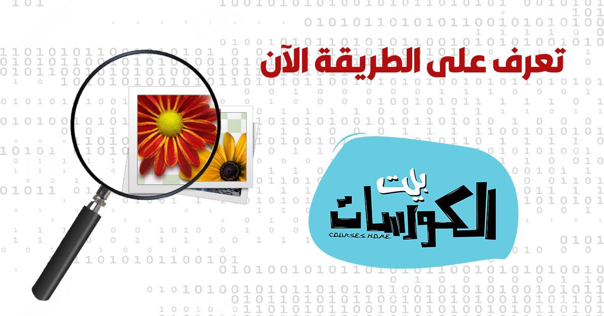 معرفة مصدر الصورة