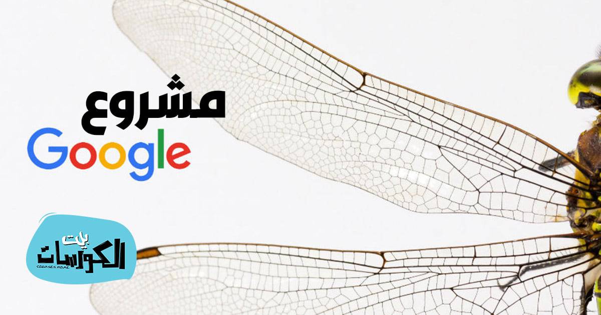 مشروع Project Dragonfly