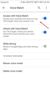 google assistant