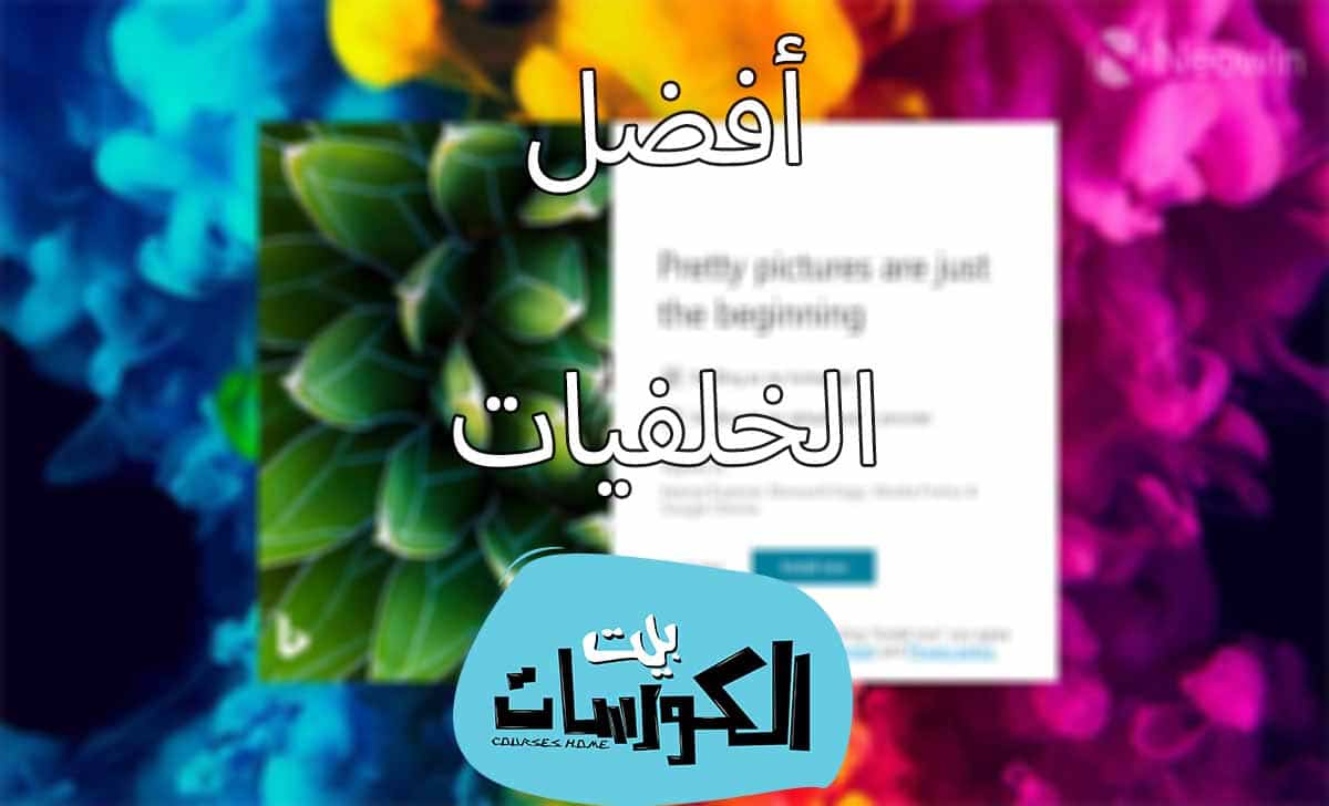 برنامج Bing Wallpapers