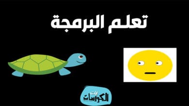 تحميل برنامج Python Turtle